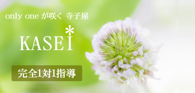 完全1対1指導の英語塾 KASEI